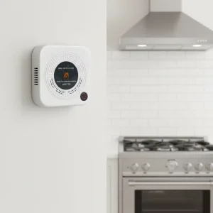 Household Kitchen Natural Gas Leak Detector Laser Sensor LPG CH4 Combustible Gas AC220V 110V
