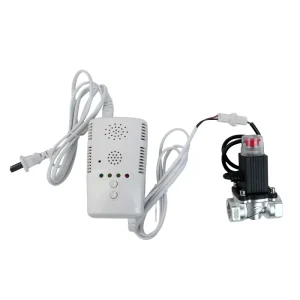 Household Personal Gas Leak Detector LPG Gas Alarm with Solenoid Valve