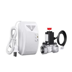 Independent LPG Gas Leak Detector with Solenoid Valve for Home Fire Alarm