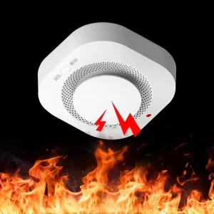 Independent Smoke Alarm and Fire Protection Smoke Detector for Home Security