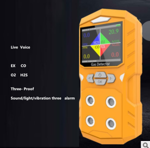 Industrial Explosion-Proof O2 H2S CO Toxic Gas Detector and Gas Leak Alarm