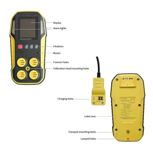 Industrial Gauge-Style Gas Detector with Visual Alerts and Programmable Alarm Levels
