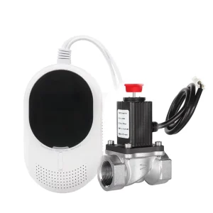 Kitchen Gas Leak Detector with 12V Cut Off Solenoid Valve and GSM Home Security System for Natural Gas Detection