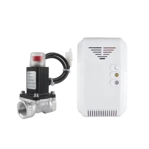 Kitchen LPG Anti-Leakage Device Natural Gas Leak Detector With Auto Valve
