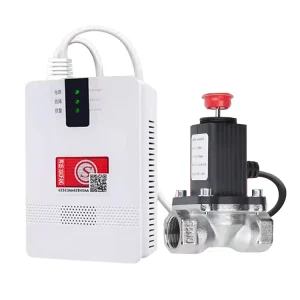 LPG and Natural Gas Leak Detector Alarm with Solenoid Valve