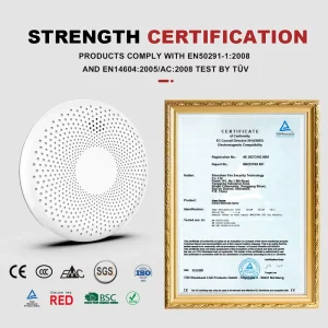 Lithium Battery 2-in-1 Smoke And Carbon Monoxide Interlinked Alarm Detector