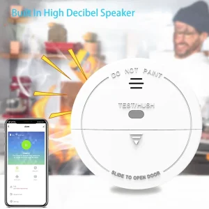 Multifunctional Doodle APP Managed Household Smoke Detector WIFI Connected Alarm