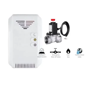 OEM ODM Home Security LPG CH4 CO Propane Gas Leak Detector with Solenoid Valve