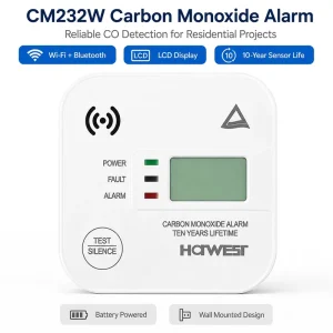 OEM WiFi Carbon Monoxide Detector with Electrochemical CO Alarm and App Connectivity