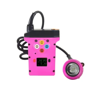 Rechargeable Digital Display Multi-Parameter Gas Detector Portable Methane Detection Explosion-Proof Lights