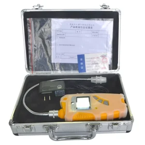 SQJ-D Portable Combustible Gas Detection Alarm 10000ppm Range Software Calibration 12H Battery