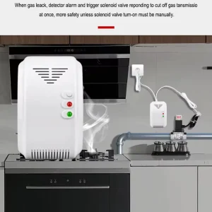 SR-901NVC-DC 12V 220V Wall-Mounted LPG Natural Gas Leak Detector with Horn Alarm ABS Material for Home Kitchen