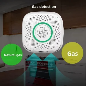 Smart Home WiFi Gas Alarm with App Remote Control and Timing for LPG and Natural Gas
