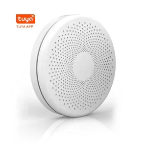 Smart Wireless Smoke and Carbon Monoxide Alarm for Home Apartment Safety