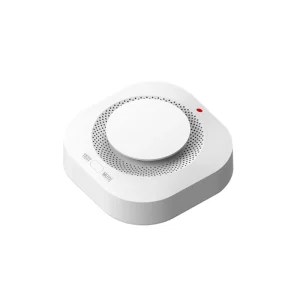 Smoke Alarm Fire Protection Smoke Detector Smokehouse Combination Fire Alarm Home Security System Fire Fighters