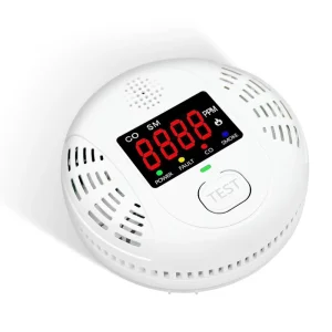 Smoke and Carbon Monoxide Detector with Replaceable Battery 2 in 1 Alarm with Voice Alerts
