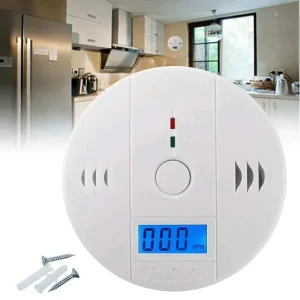Standalone Carbon Monoxide and Combustible Gas Detector with Noise Alert for Home