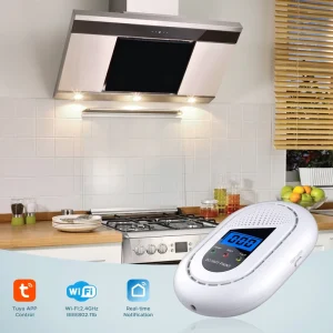 Standalone Multi-Gas Leak Detector for LNG, Methane, and Natural Gas