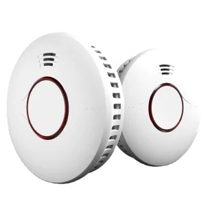 Standalone Smoke Alarm with Replaceable Battery and Wi-Fi Module