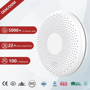 Standalone Smoke and Carbon Monoxide Alarm CE Combined Dual Funtion Detector Indoor Security Alarm Super Thin Design Detector