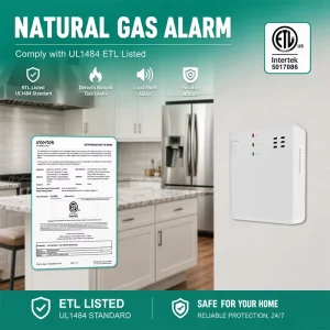 UL1484 Household Methane Leak Detector Residential 10 Year Battery Gas Alarm New York Local Law 157 Specified For Kitchen Safety