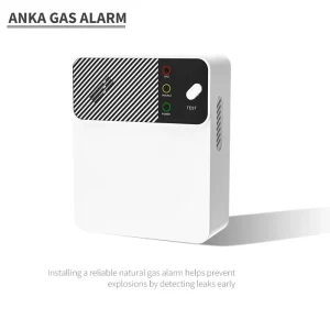 US Standard Natural Gas Alarm with 10-Year Battery