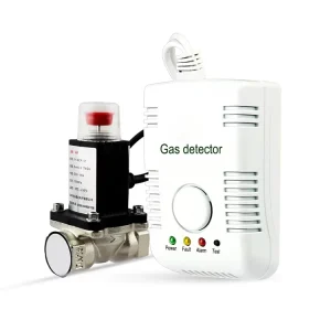 Wall Mounted AC220V Combustible Methane LPG LNG Natural Gas Detector Home Kitchen Alarm System ABS HC 24 Model China