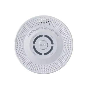 Wall-Mounted Battery-Powered Methane CH4 Combustible Gas Leak Detector with Sound and Light Alarm