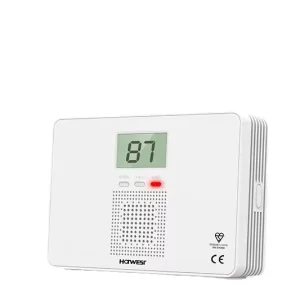 Wgsensor CM100 High Accuracy Household Carbon Monoxide Gas Alarm Sound Alarm ABS Material Battery Powered 1 Year Warranty