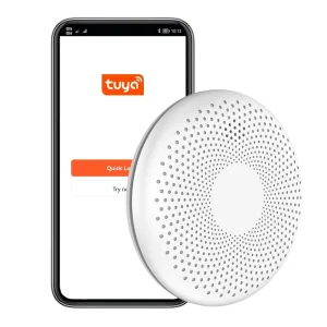 WiFi Combination Smoke and CO Detector with LCD Display 10-Year Battery 2-in-1