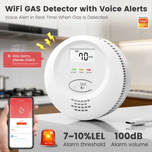 WiFi Gas Leak Detector with Voice Warning