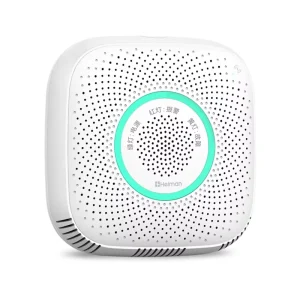 WiFi Smart Home Kitchen Gas Leak Detector, Battery Operated, WS2CG