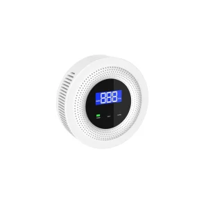 Wifi NB lot CH4 360 Detector ABS Material App Function Co Detector Big Sound Wireless Gas Detector Safe Alarm